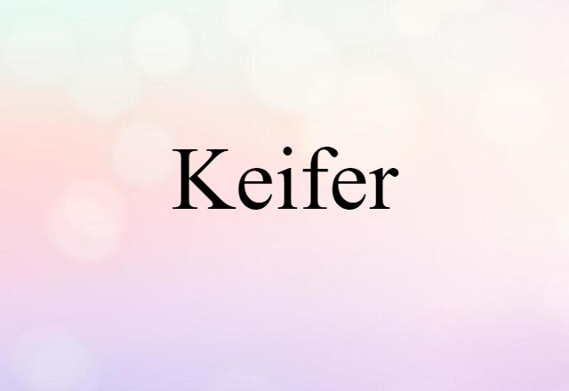 Keifer (noun) Definition, Meaning & Examples