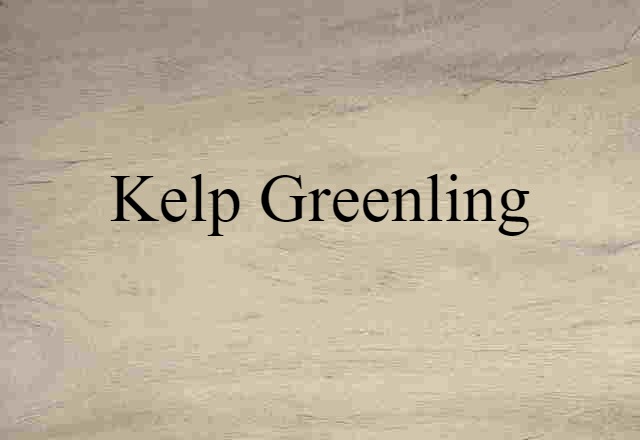 Kelp Greenling (noun) Definition, Meaning & Examples