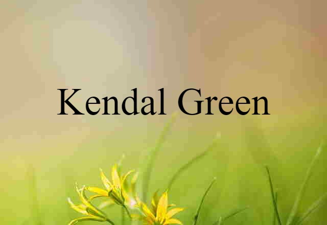 Kendal Green (noun) Definition, Meaning & Examples