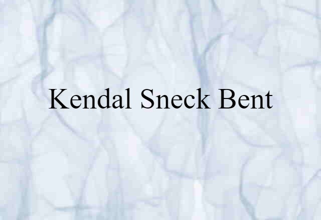 Kendal Sneck Bent (noun) Definition, Meaning & Examples