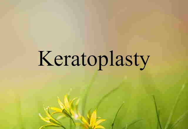 Keratoplasty (noun) Definition, Meaning & Examples