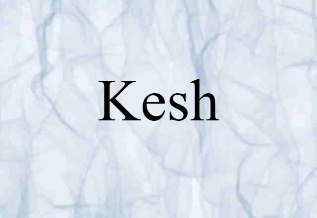 Kesh (noun) Definition, Meaning & Examples