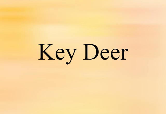 Key deer