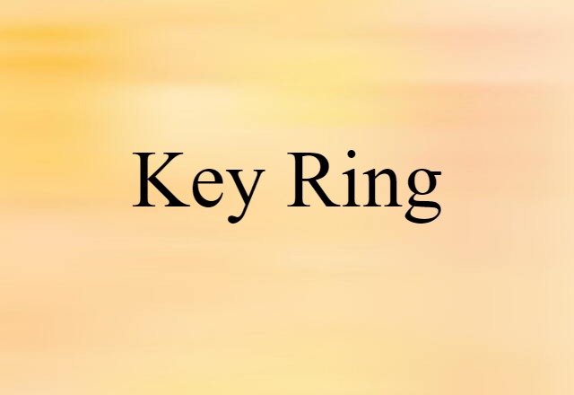 Key Ring (noun) Definition, Meaning & Examples