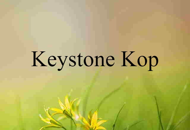 Keystone Kop