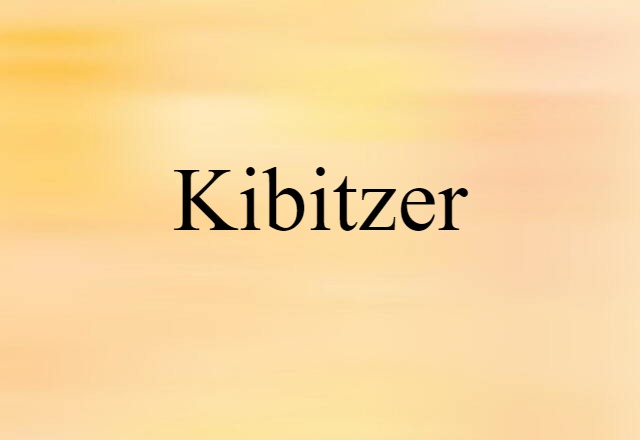 Kibitzer (noun) Definition, Meaning & Examples