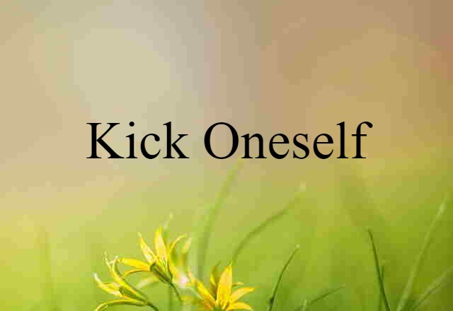 Kick Oneself (noun) Definition, Meaning & Examples