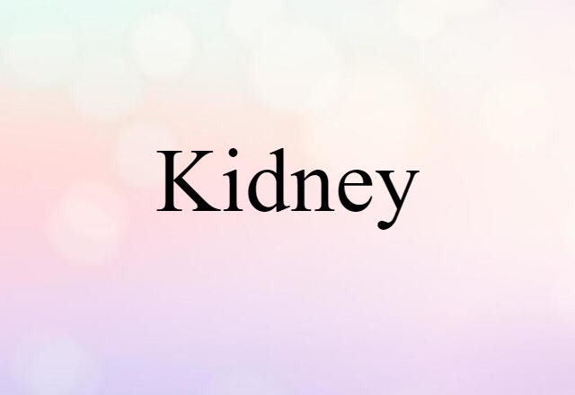 Kidney (noun) Definition, Meaning & Examples