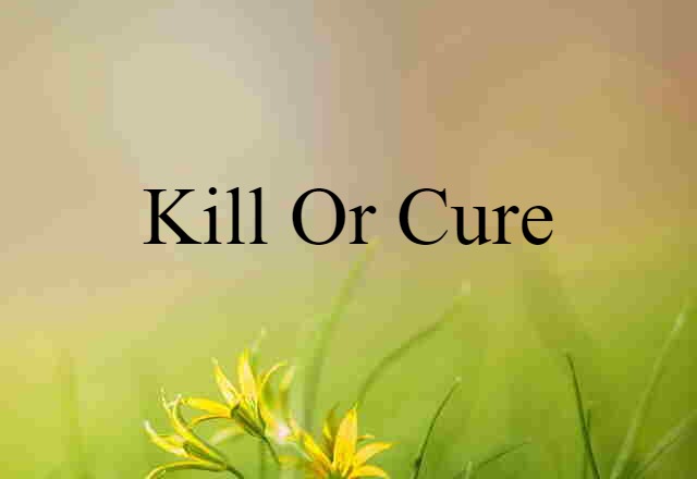 Kill Or Cure (noun) Definition, Meaning & Examples