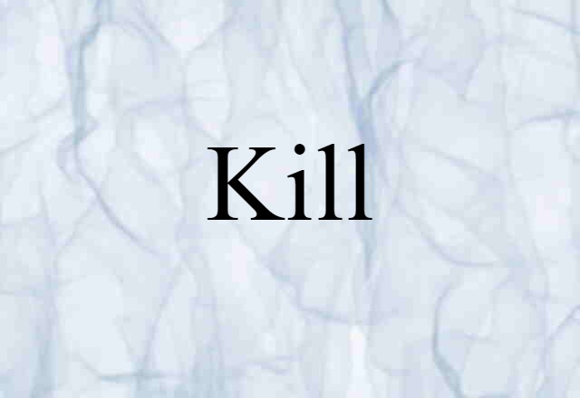 Kill (noun) Definition, Meaning & Examples