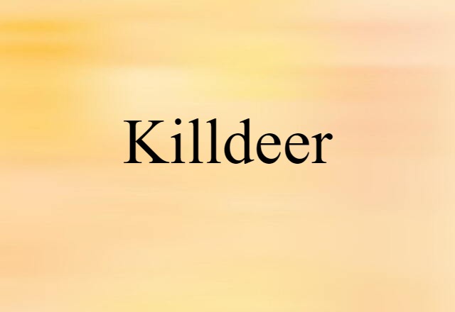 Killdeer (noun) Definition, Meaning & Examples