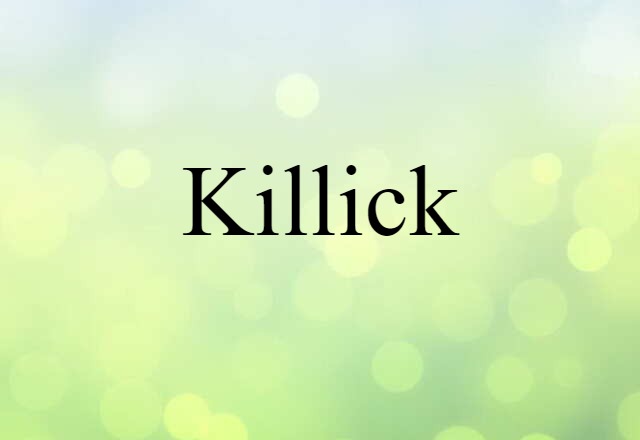 Killick (noun) Definition, Meaning & Examples