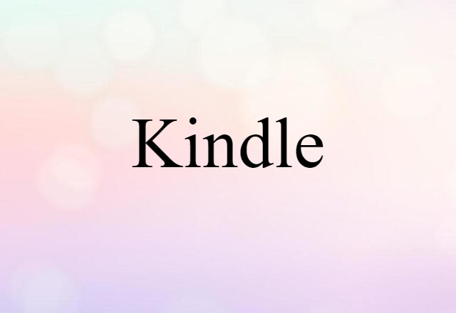 Kindle (noun) Definition, Meaning & Examples