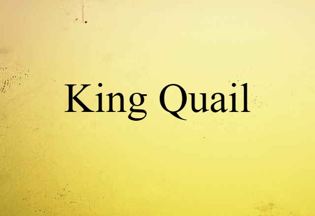 King Quail (noun) Definition, Meaning & Examples