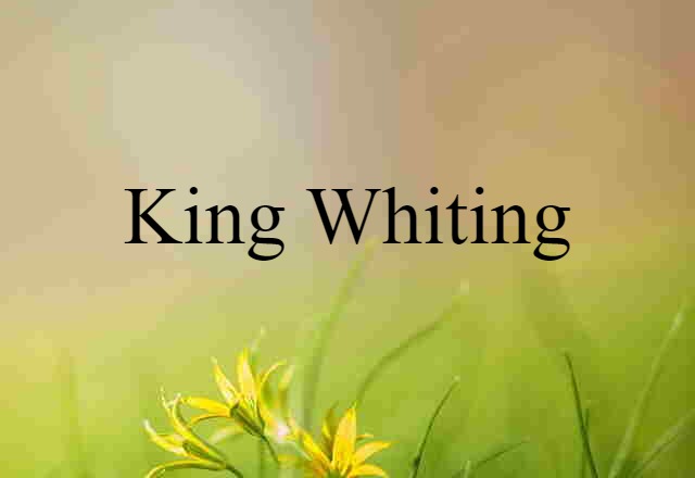 King Whiting (noun) Definition, Meaning & Examples