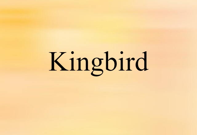 kingbird