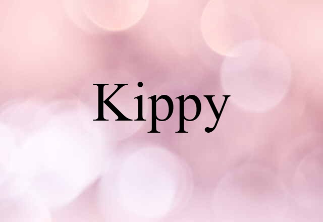 Kippy (noun) Definition, Meaning & Examples