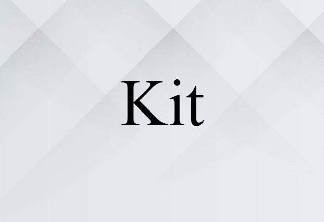 Kit (noun) Definition, Meaning & Examples