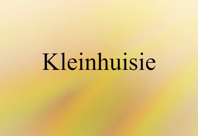 Kleinhuisie (noun) Definition, Meaning & Examples