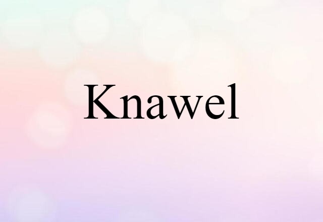 knawel