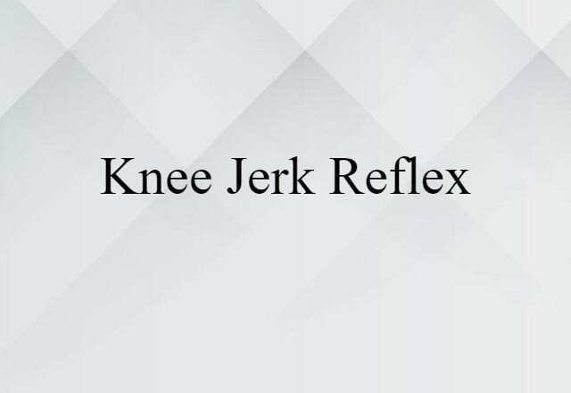 Knee Jerk Reflex (noun) Definition, Meaning & Examples