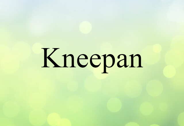 Kneepan (noun) Definition, Meaning & Examples