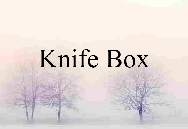 Knife Box (noun) Definition, Meaning & Examples