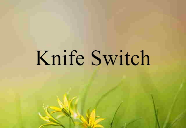 Knife Switch (noun) Definition, Meaning & Examples