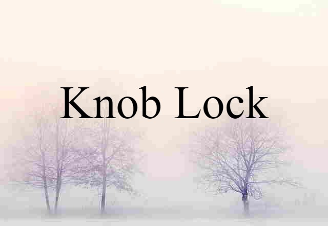 Knob Lock (noun) Definition, Meaning & Examples