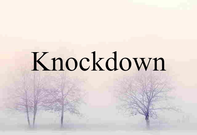 Knockdown (noun) Definition, Meaning & Examples