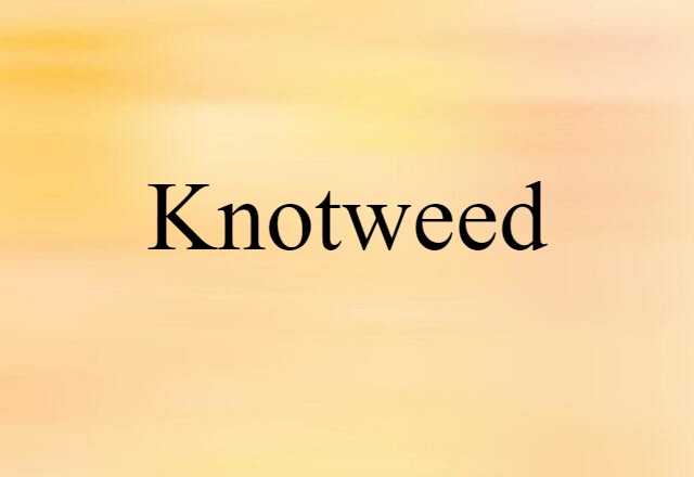 Knotweed (noun) Definition, Meaning & Examples