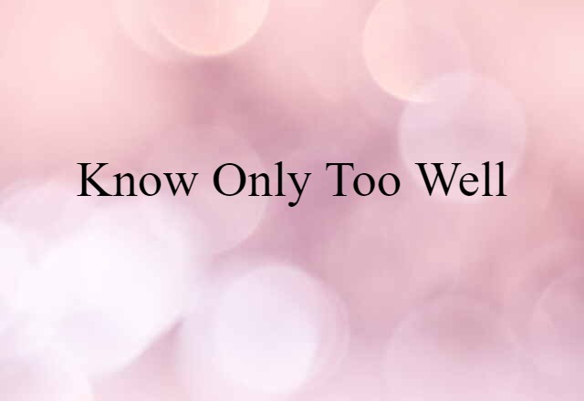 Know Only Too Well (noun) Definition, Meaning & Examples