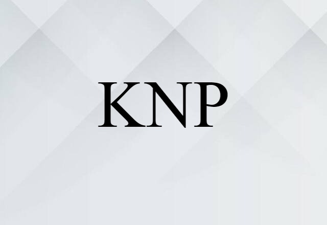 KNP (noun) Definition, Meaning & Examples