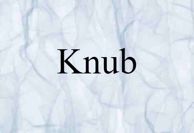 Knub (noun) Definition, Meaning & Examples