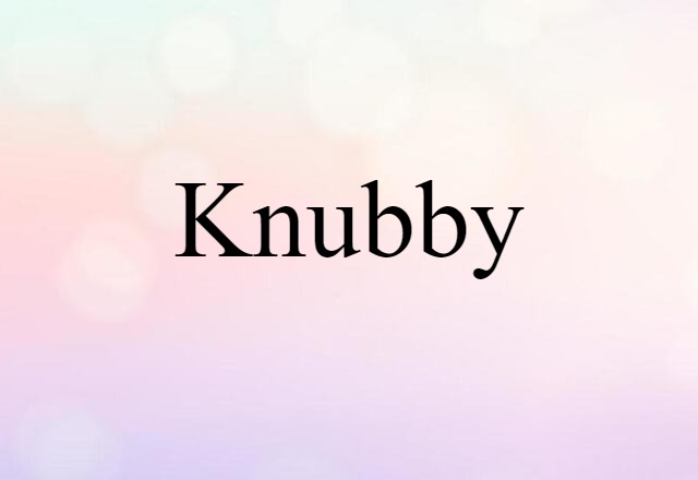 Knubby (noun) Definition, Meaning & Examples