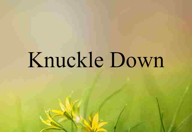 Knuckle Down (noun) Definition, Meaning & Examples