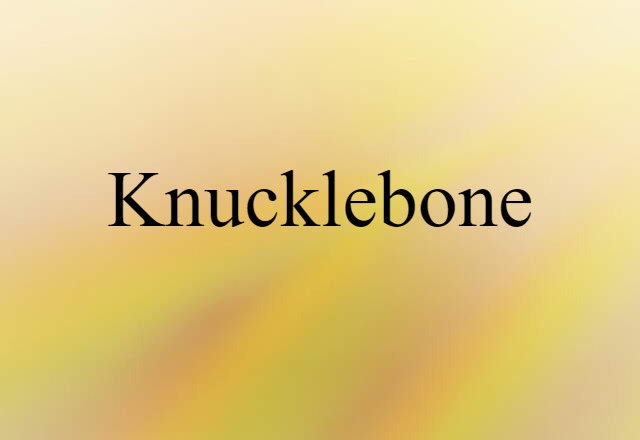 Knucklebone (noun) Definition, Meaning & Examples