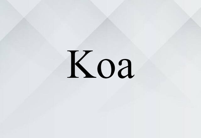 Koa (noun) Definition, Meaning & Examples