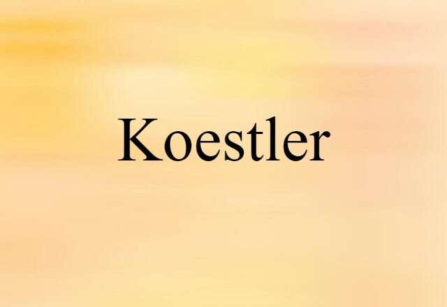 Koestler (noun) Definition, Meaning & Examples