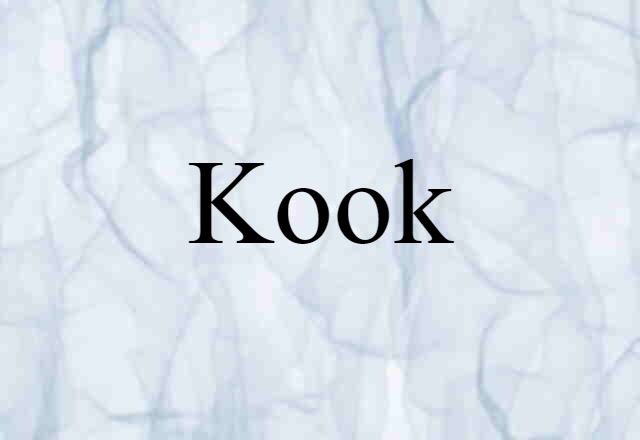 Kook (noun) Definition, Meaning & Examples