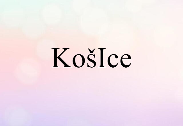 Košice (noun) Definition, Meaning & Examples