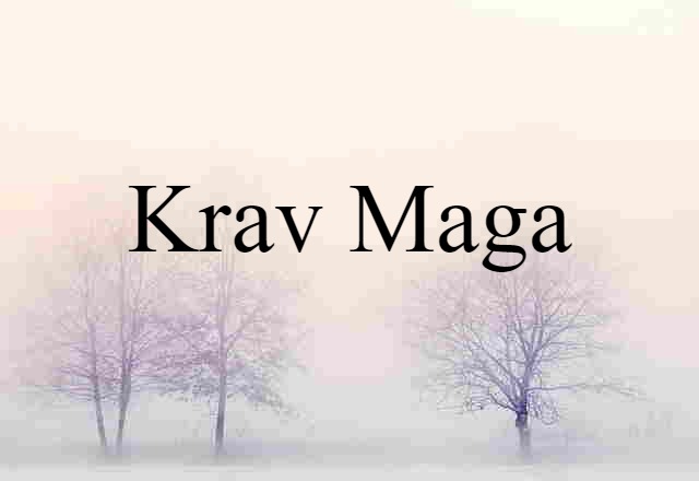 Krav Maga (noun) Definition, Meaning & Examples