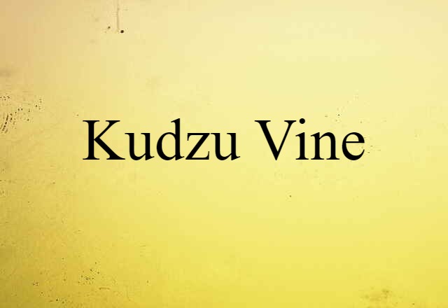 kudzu vine