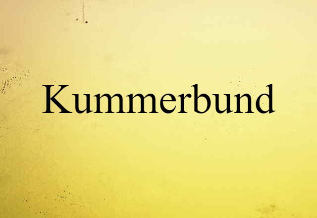 Kummerbund (noun) Definition, Meaning & Examples