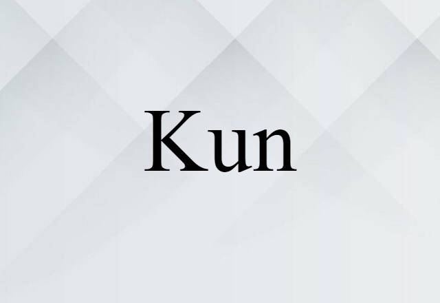 Kun (noun) Definition, Meaning & Examples