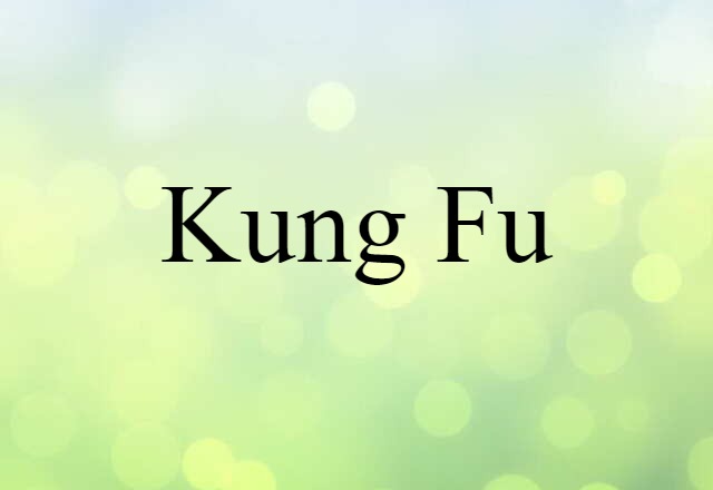 Kung Fu (noun) Definition, Meaning & Examples