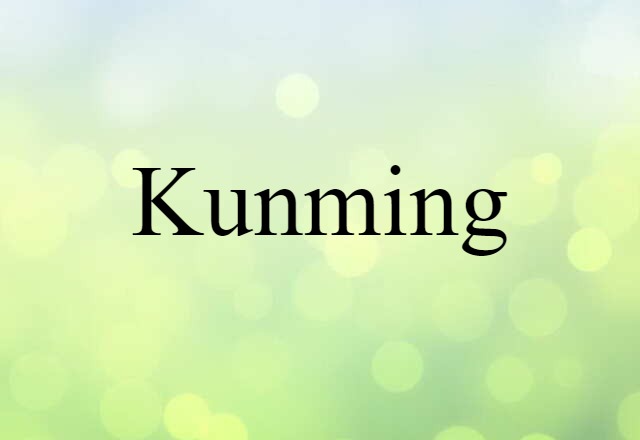 Kunming (noun) Definition, Meaning & Examples