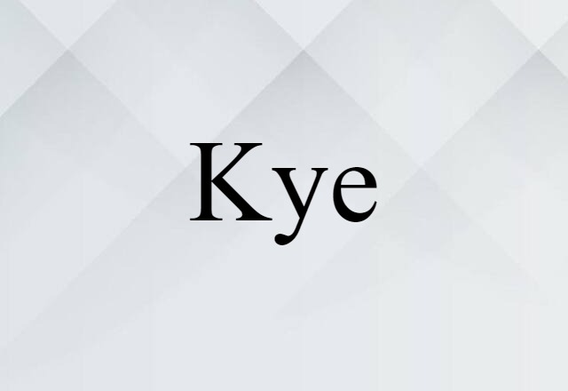 Kye (noun) Definition, Meaning & Examples