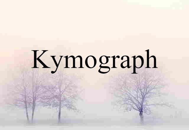 Kymograph (noun) Definition, Meaning & Examples