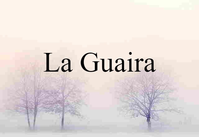 La Guaira (noun) Definition, Meaning & Examples